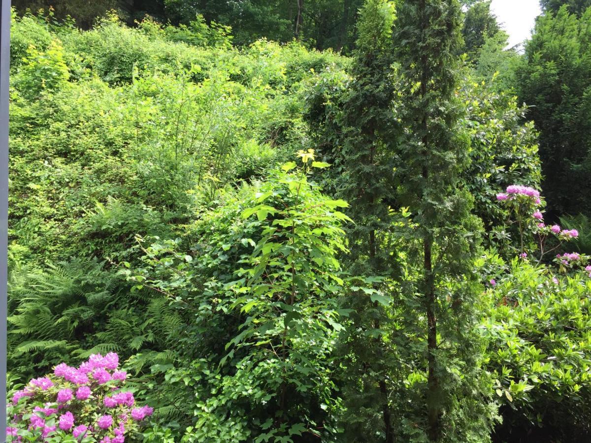 - Zentrumsnah, Eigener Parkplatz Und Grosser Balkon Ins Gruene Apartment